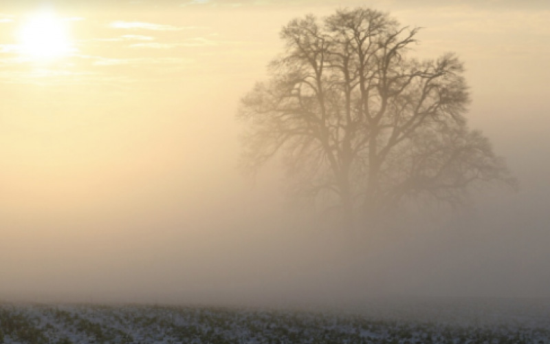 Tjänster - Dalkullornas Begravningsbyrå